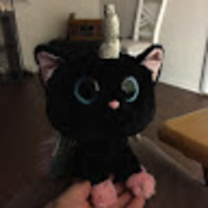 Meet your Posher, Rosemarie